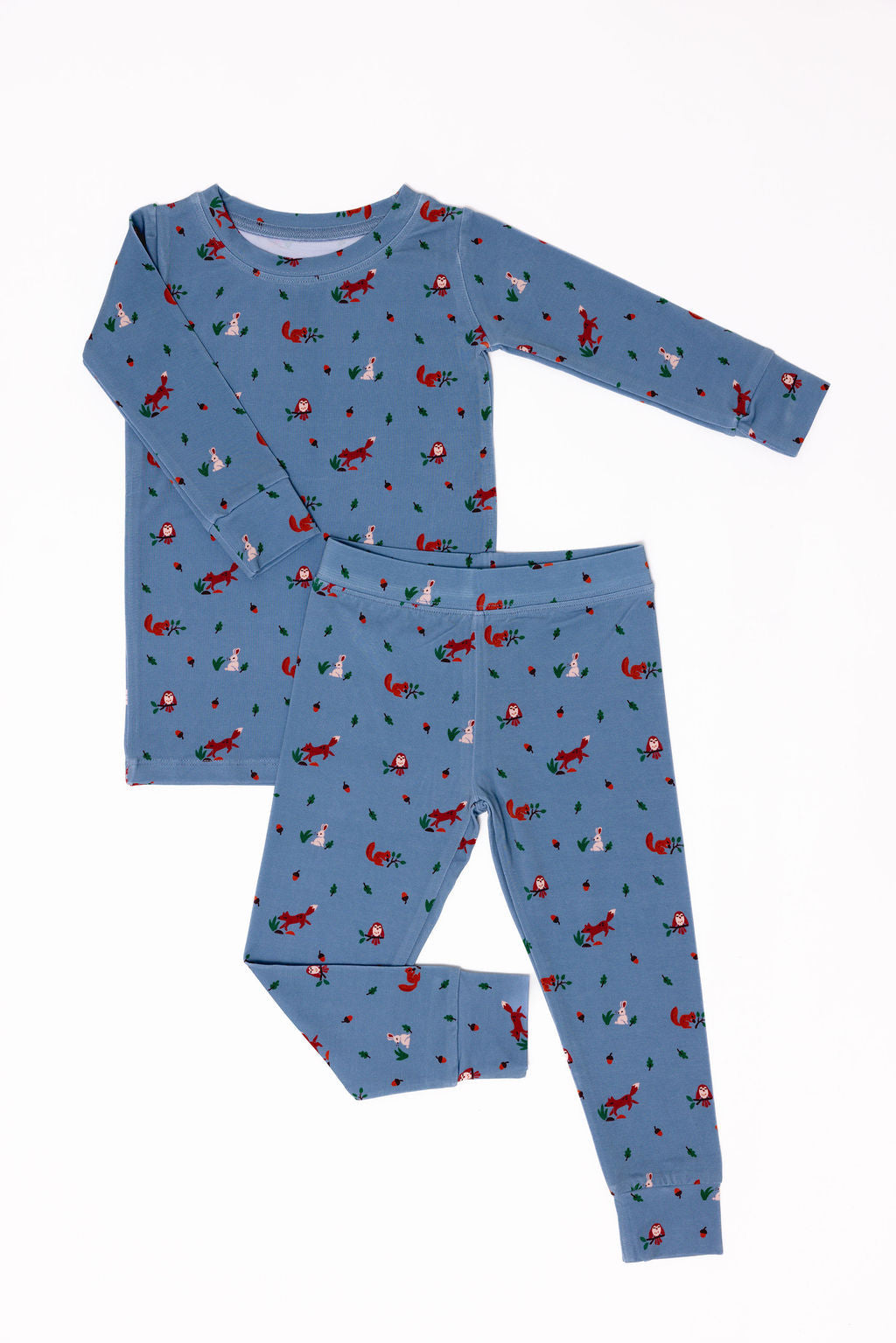 Sylvan - CloudBlend™ Long Sleeve Pajamas Set