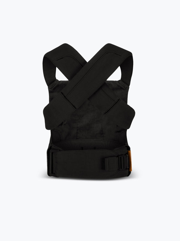 Raven - Aerial Carrier